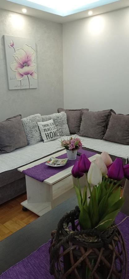 Apartman Harmonija Vrnjačka Banja Exterior foto